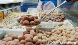 食品丸子爆料怎么做视频,揭秘视频制作全攻略